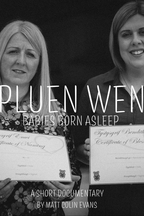 Movie poster for Pluen Wen: Babies Born Asleep