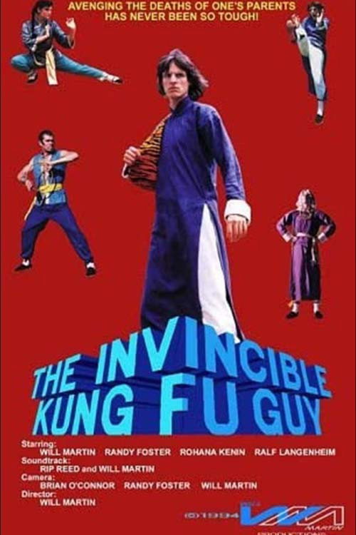 Movie poster for The Invincible Kung Fu Guy (1994)