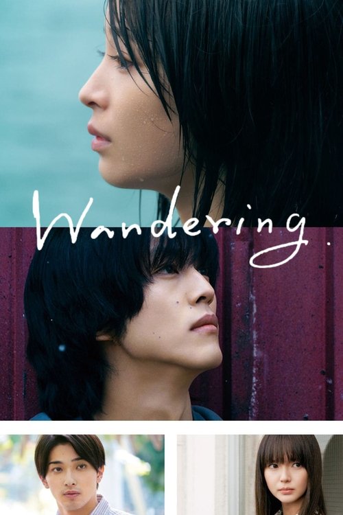 Movie poster for The Wandering Moon (2022)