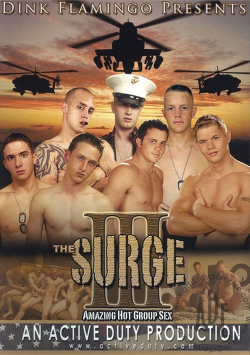 Movie poster for The Surge III (2009)