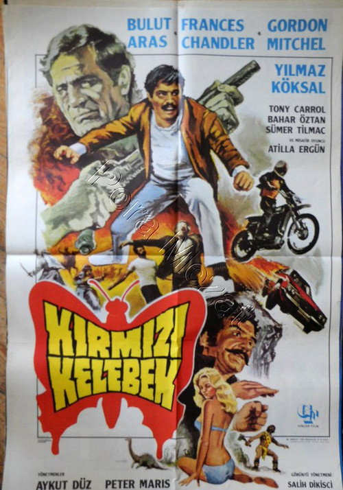 Movie poster for Curse of the Red Butterfly (1982)