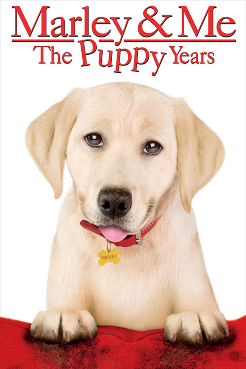 Movie poster for Marley & Me: The Puppy Years (2011)
