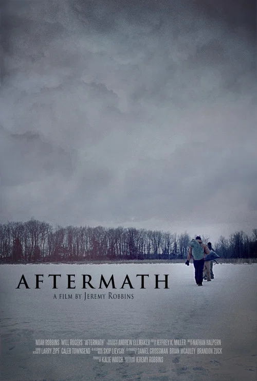 Movie poster for Aftermath (2013)