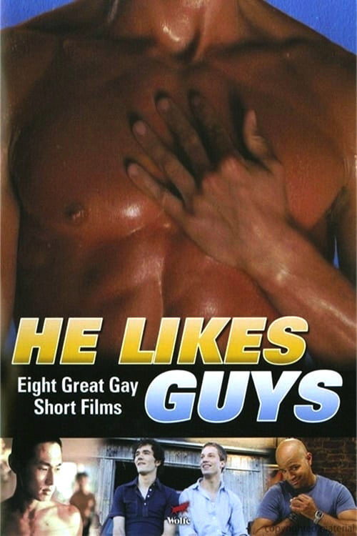 Movie poster for He Likes Guys (2009)