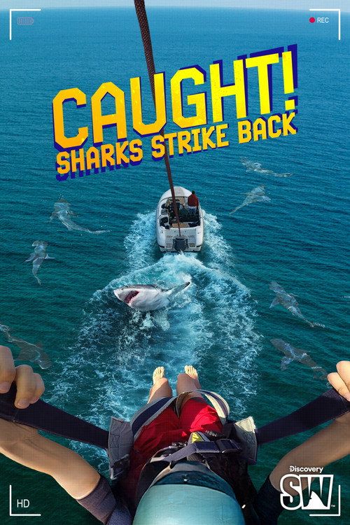 Movie poster for Caught! Sharks Strike Back (2025)