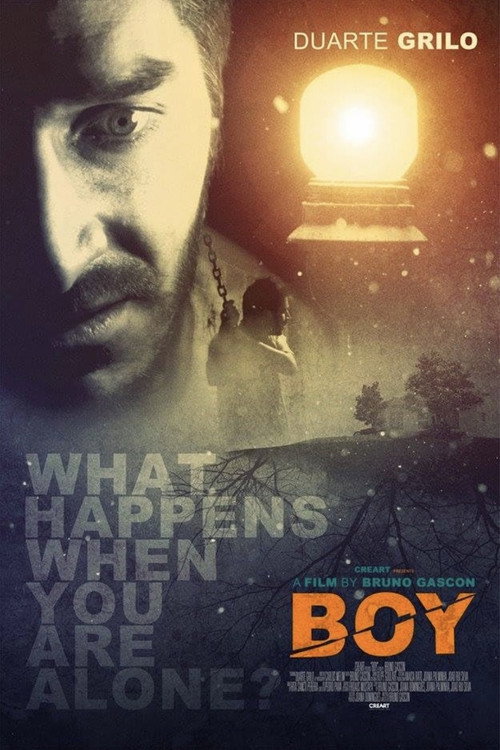Movie poster for Boy (2014)