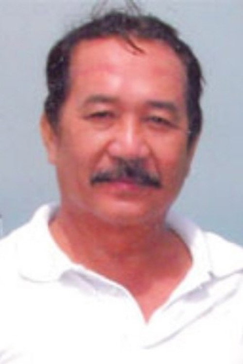 Photo of Hoàng Sơn, Acting