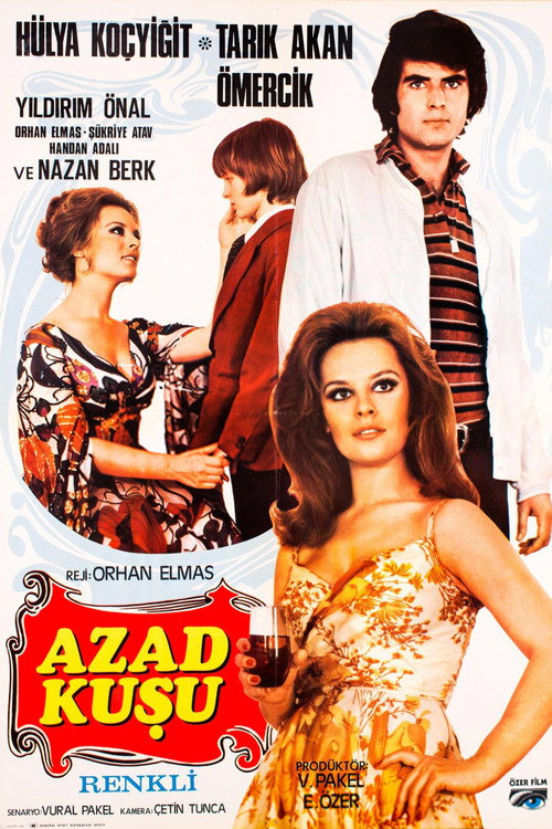 Movie poster for Azad Kuşu (1972)