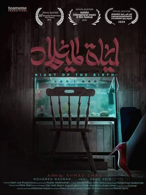 Movie poster for Night of The Birth (2020)