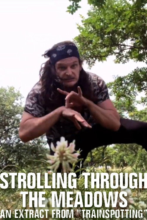 Movie poster for Strolling Through the Meadows (2020)