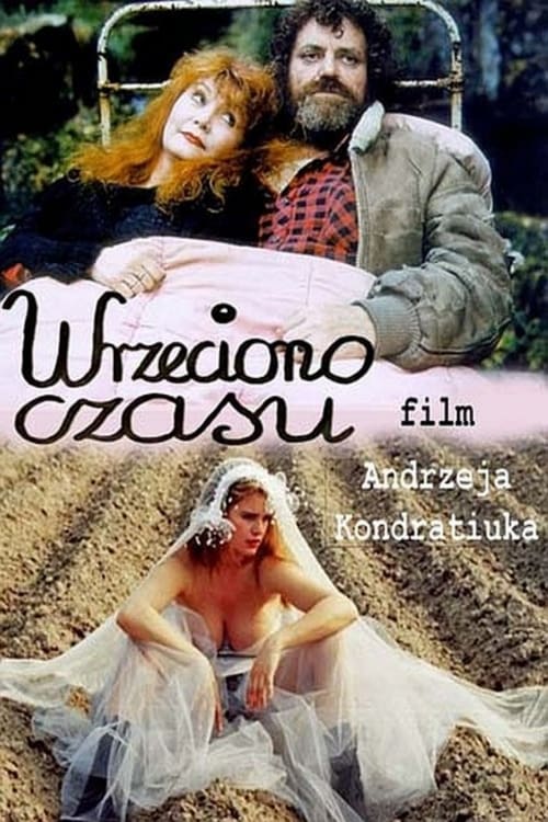 Movie poster for The Spinning Wheel of Time (1996)