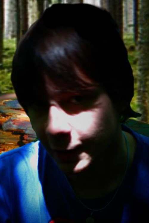 Movie poster for The Hamleigh Disappearances (2015)