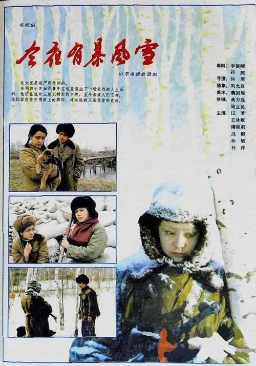 今夜有暴风雪 poster