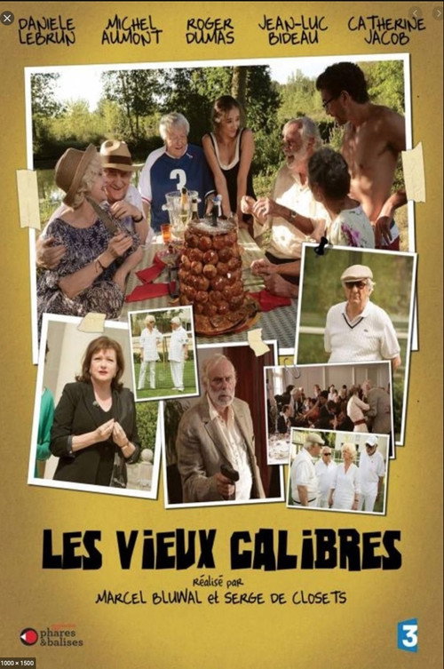 Movie poster for Les Vieux Calibres (2013)