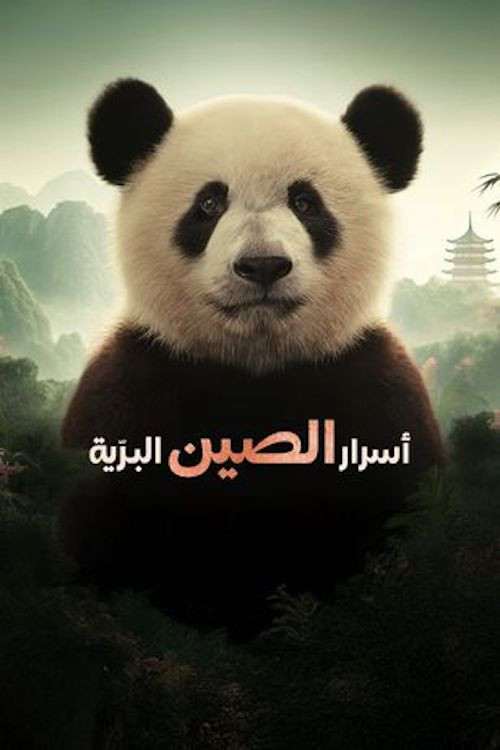 Series poster for China's Wild Secrets (2025)