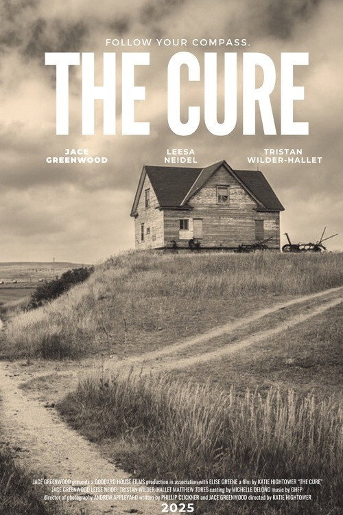 Movie poster for The Cure (2025)