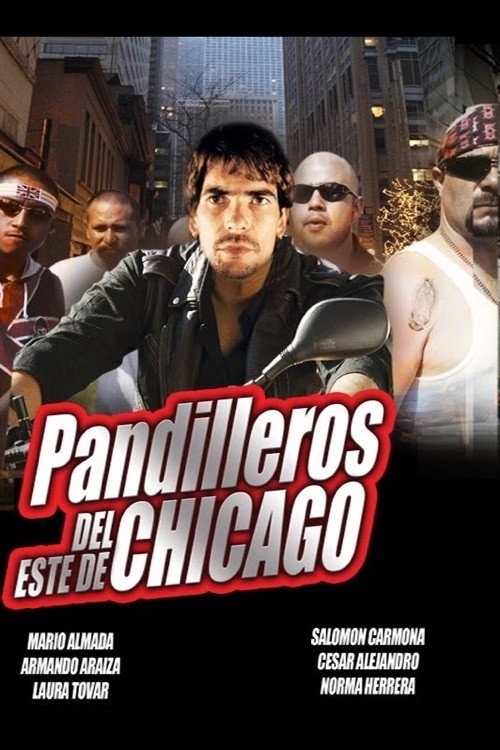 Movie poster for Chicago, pandillas salvajes (1991)
