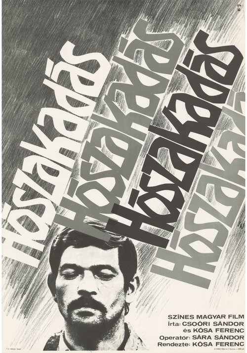 Movie poster for Snowfall (1974)