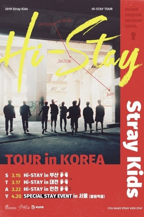 Movie poster for Stray Kids HI-STAY TOUR FINALE IN SEOUL (2019)