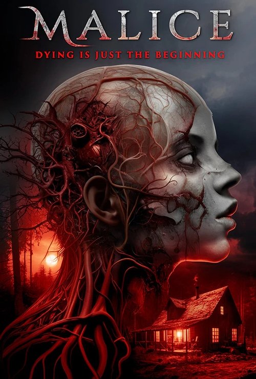 Movie poster for Malice (2025)