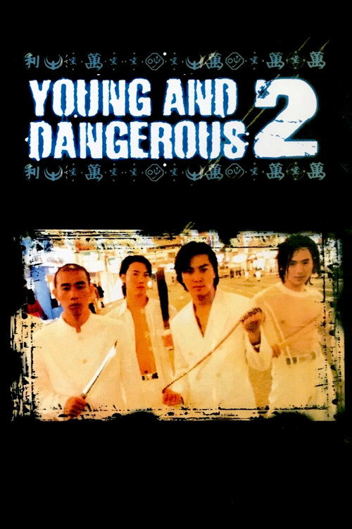Movie poster for Young and Dangerous 2 (1996)