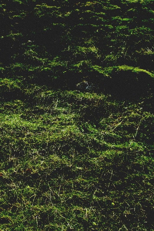 Movie poster for Untitled / Aubrac (2016)