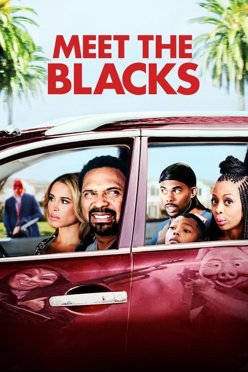 Movie poster for Meet the Blacks (2016)