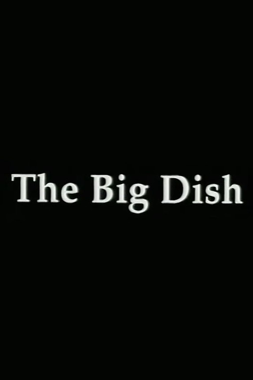 Movie poster for The Big Dish: Tiananmen 89 (1998)