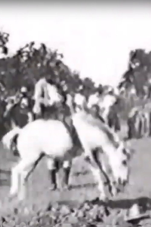 Movie poster for Cavalier sur un cheval rétif (1896)