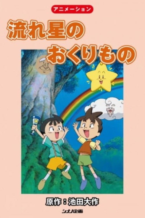 Movie poster for Gift From A Shooting Star (2006)