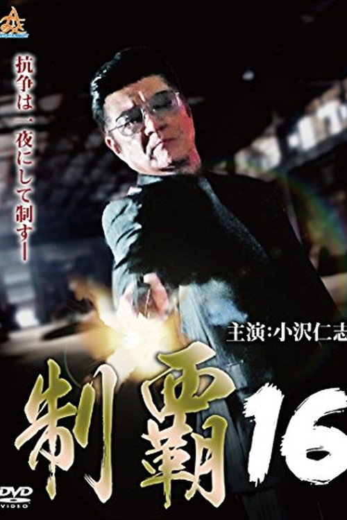 Movie poster for Conquest 16 (2018)