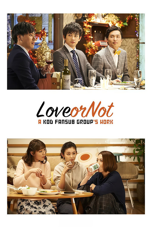Love or Not poster