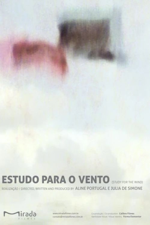 Movie poster for Study for the Wind (2011)