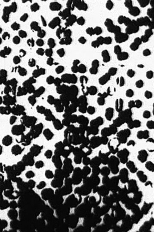 Movie poster for Random (1963)