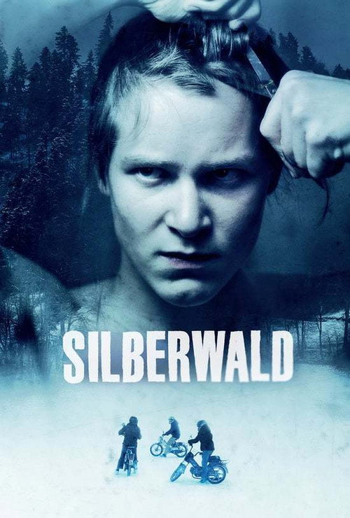 Movie poster for Silver Forest (2011)