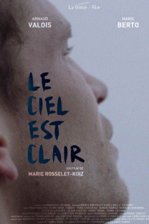 Movie poster for Clear Sky (2018)