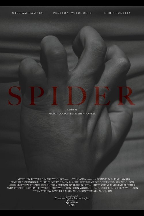 Movie poster for Spider (2019)