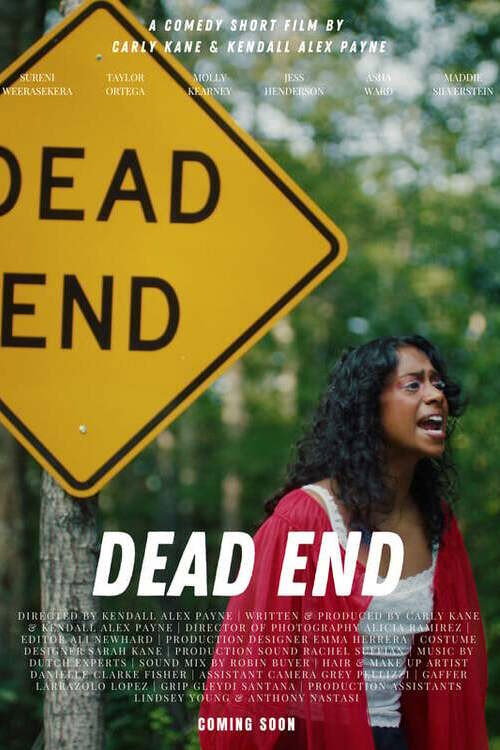 Movie poster for Dead End (2025)