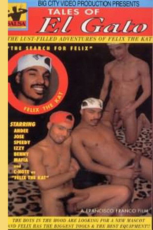 Movie poster for Tales of El Gato (1996)