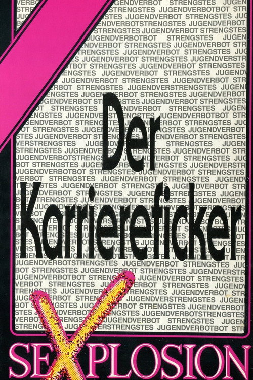 Movie poster for Der Karriereficker (1991)