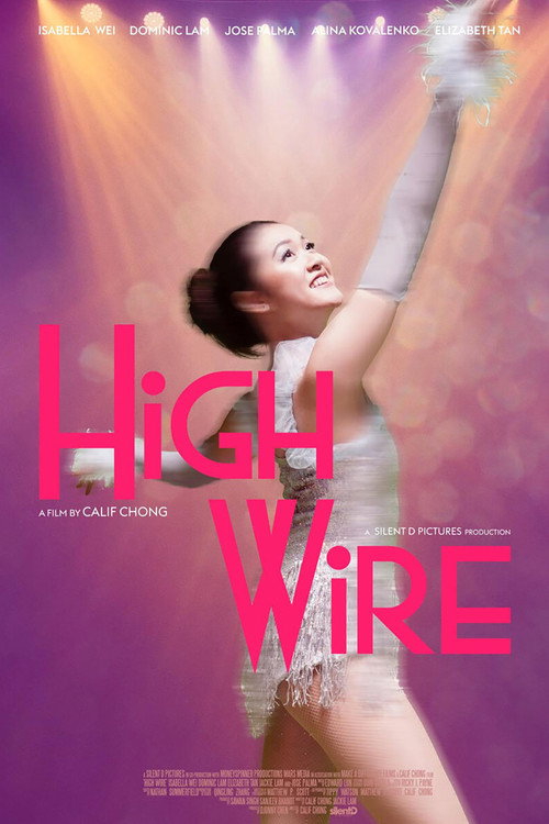 Movie poster for High Wire (2025)