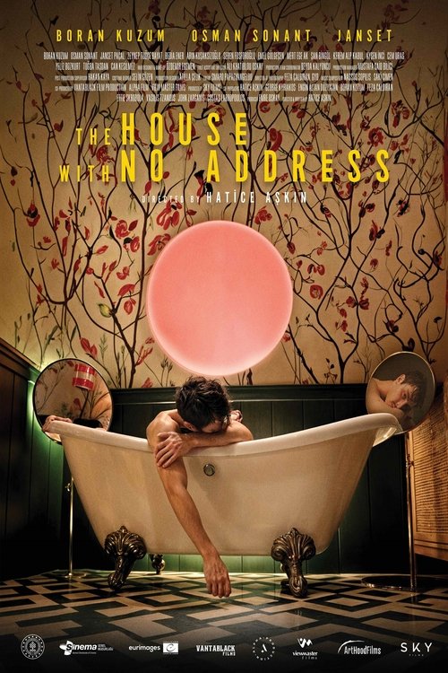 Movie poster for The House with No Address (2025)