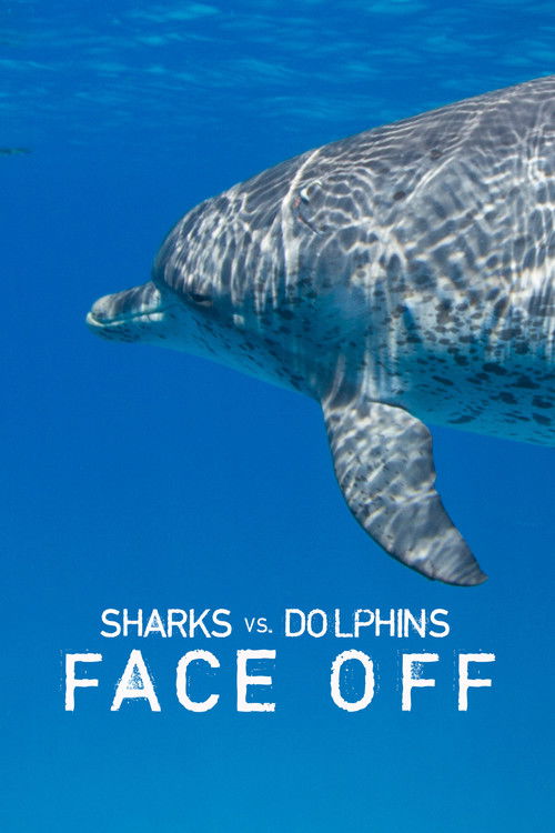 Movie poster for Sharks Vs. Dolphins: Face Off (2016)