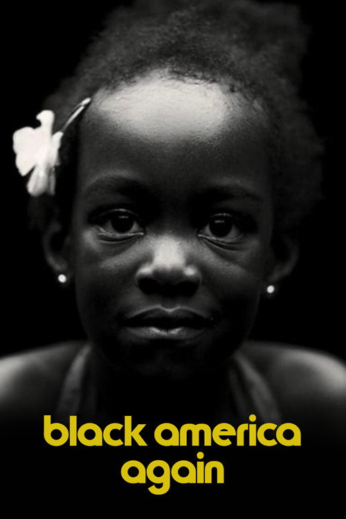 Movie poster for Black America Again (2016)