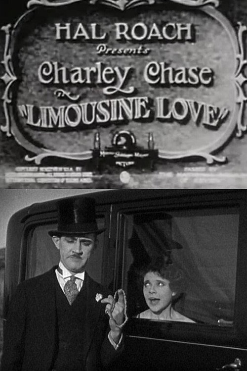 Movie poster for Limousine Love (1928)
