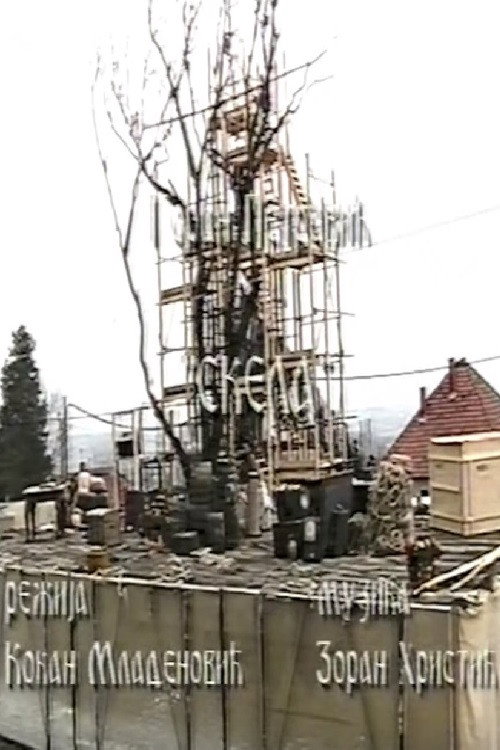 Movie poster for Scaffold (2004)
