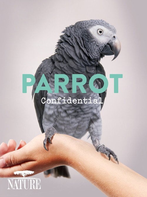 Movie poster for Parrot Confidential (2013)