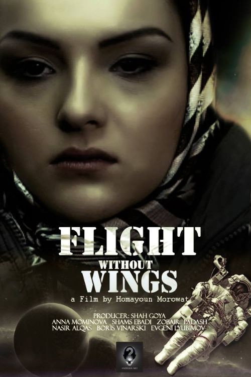 Movie poster for Flight Without Wings (2014)