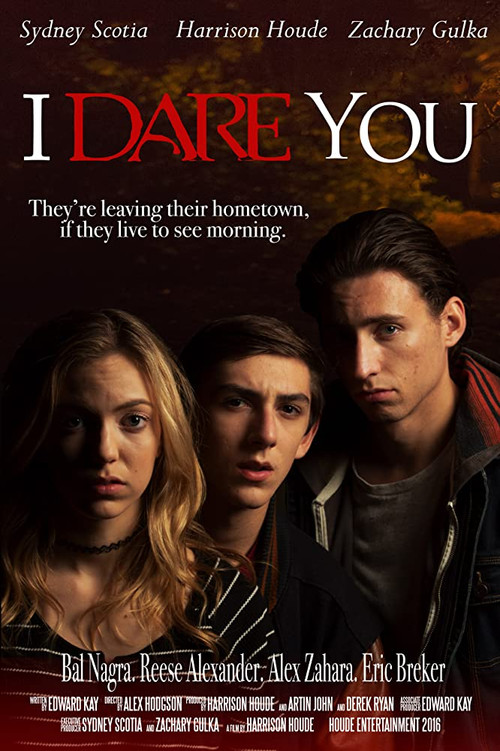 Movie poster for I Dare You (2016)
