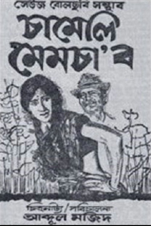 Movie poster for Chameli Memsaab (1975)